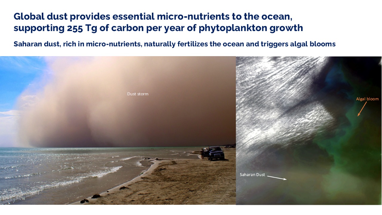Infographic about dust supplying micronutrients to the ocean