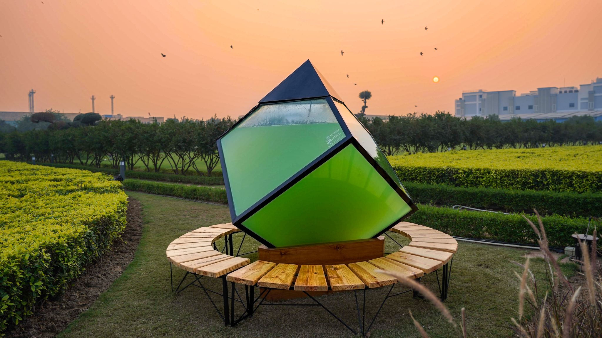 Outdoor microalgae photobioreactor in a park